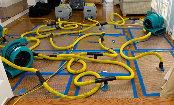 Professional Crawl Space Water Removal technician working in Colfax, WA